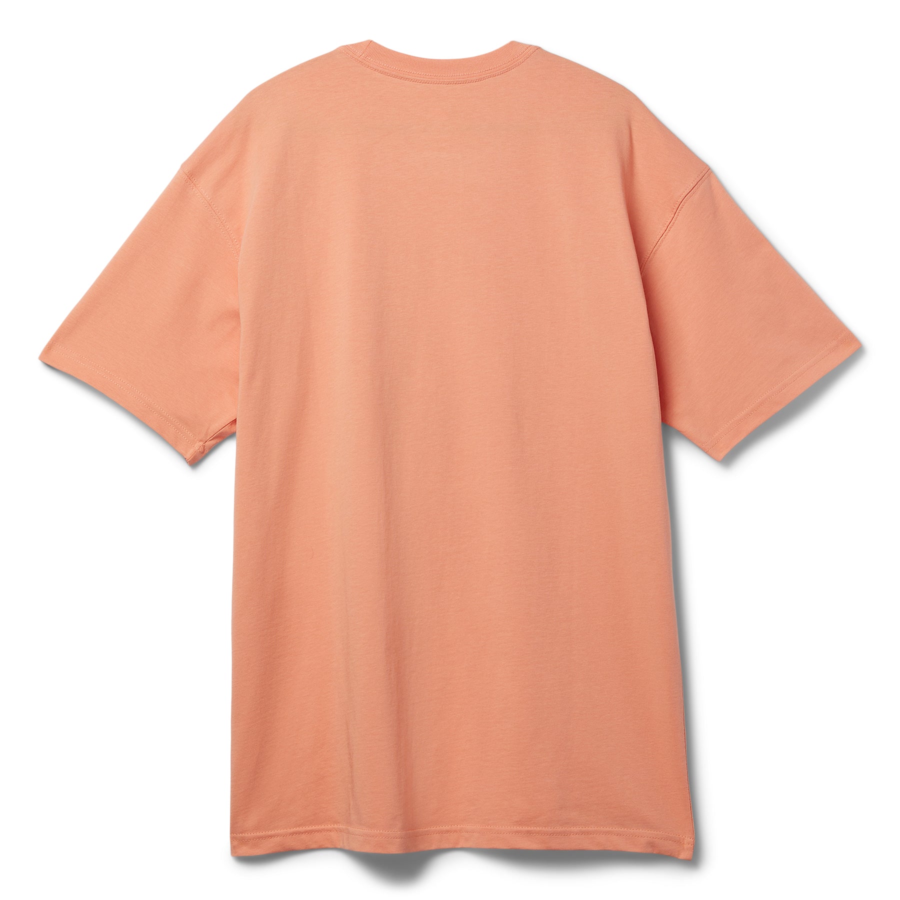 Nike SB Max90 Skate T-Shirt (Apricot agate)