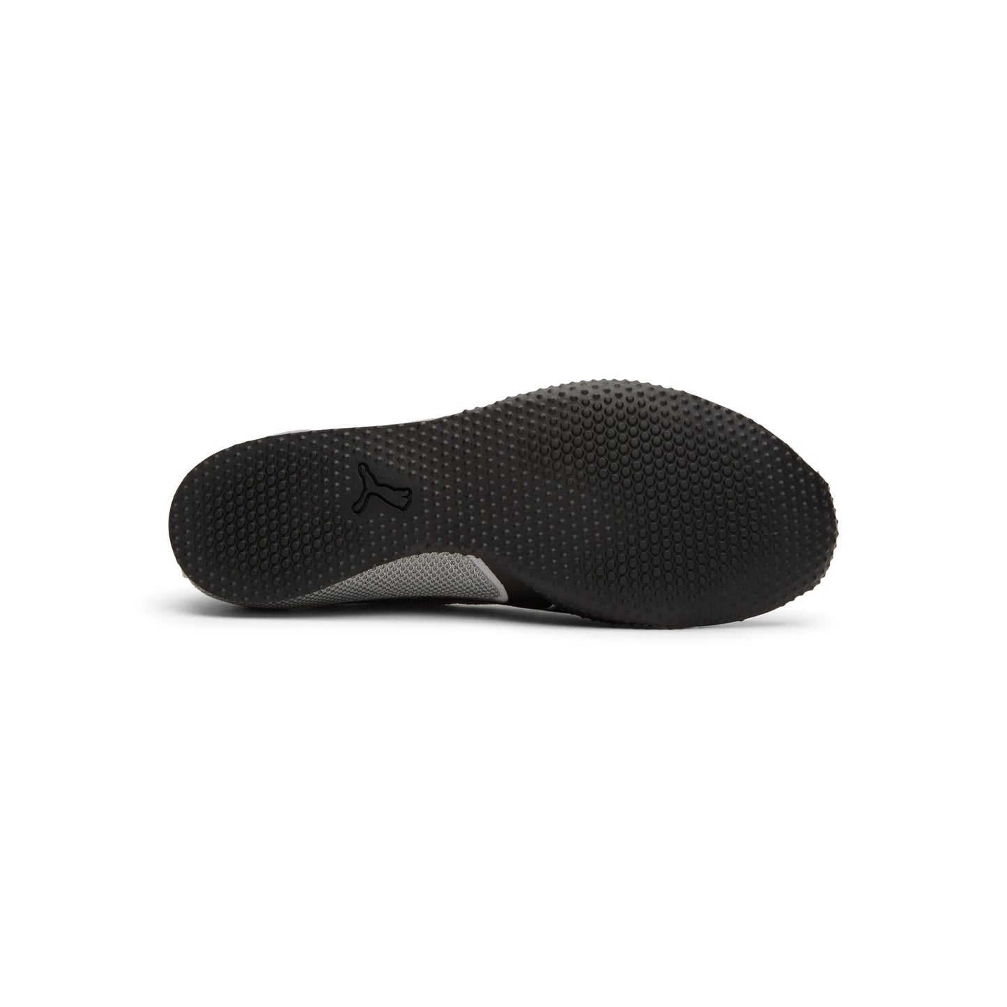 Puma H-Street Chrome (Gray)