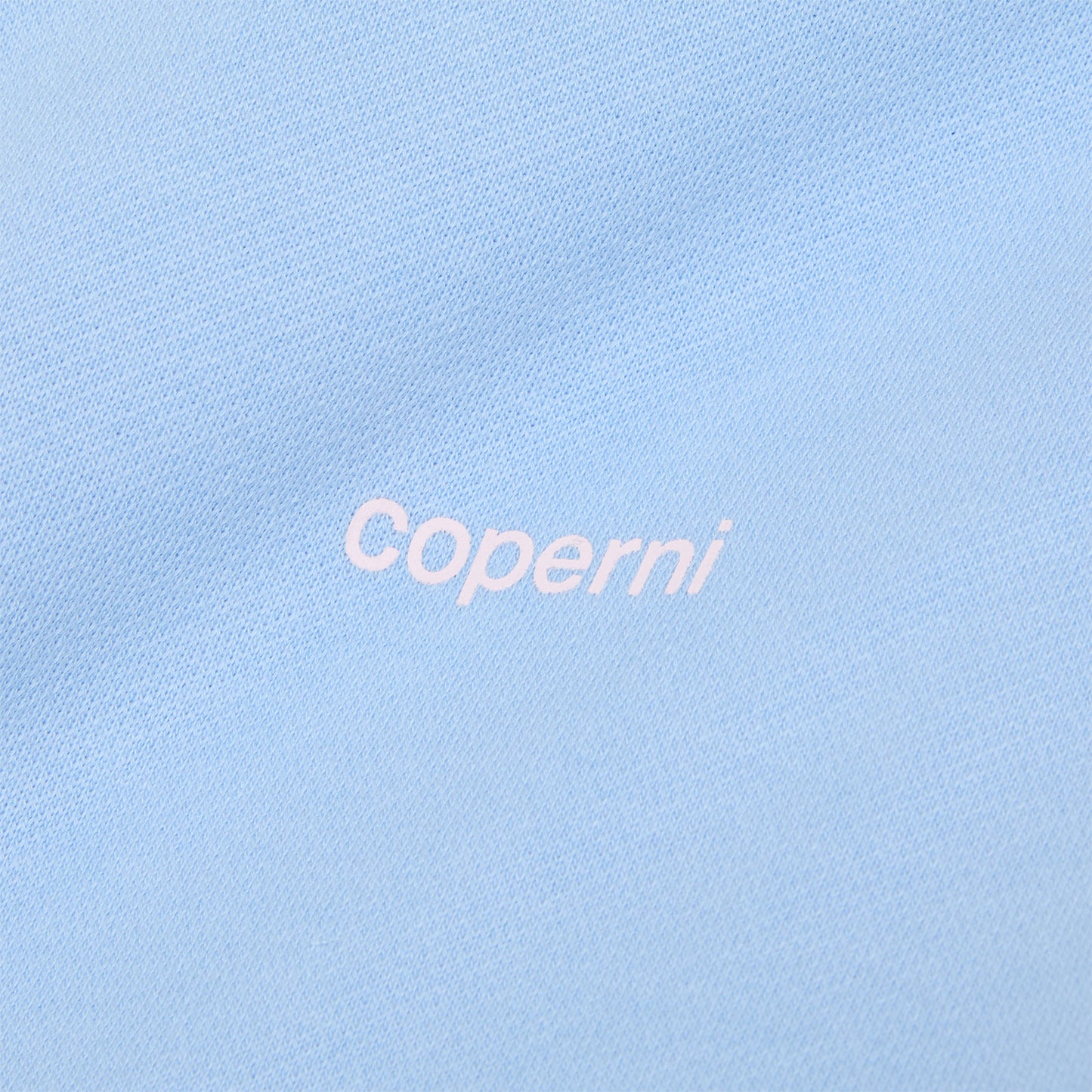 COPERNI Horn Hoodie (Blue/Pink Print)