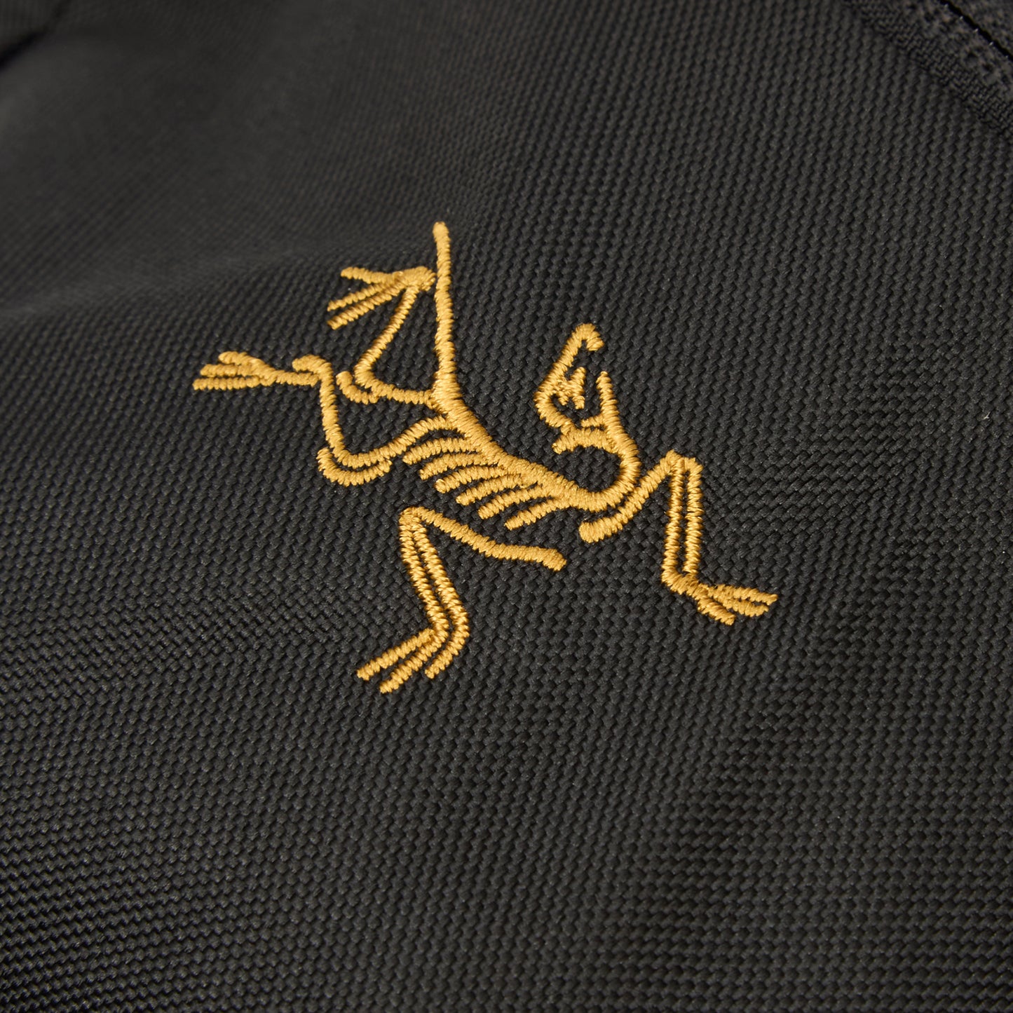 Arc'teryx Mantis 2 Waist Pack (24K Black)